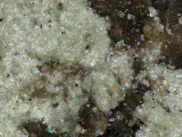 Fulbrightite